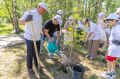 В Год единства народов России в Нижнем Новгороде высадили рябиновую аллею дружбы