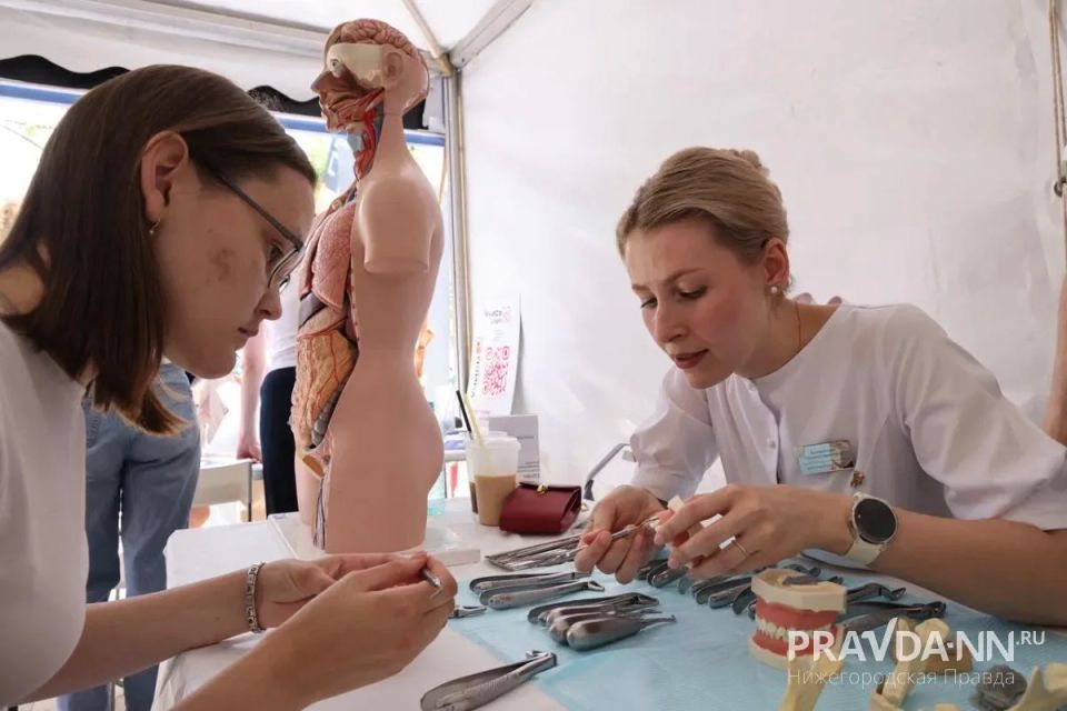 Фестиваль "Учись в Нижнем" прошёл в парке 1 Мая Фестиваль "Учись в Нижнем" прошёл в парке 1 Мая