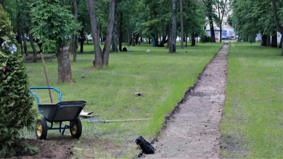 Новые деревья — в местах работы АО «ОКО» Новые деревья — в местах работы АО «ОКО»