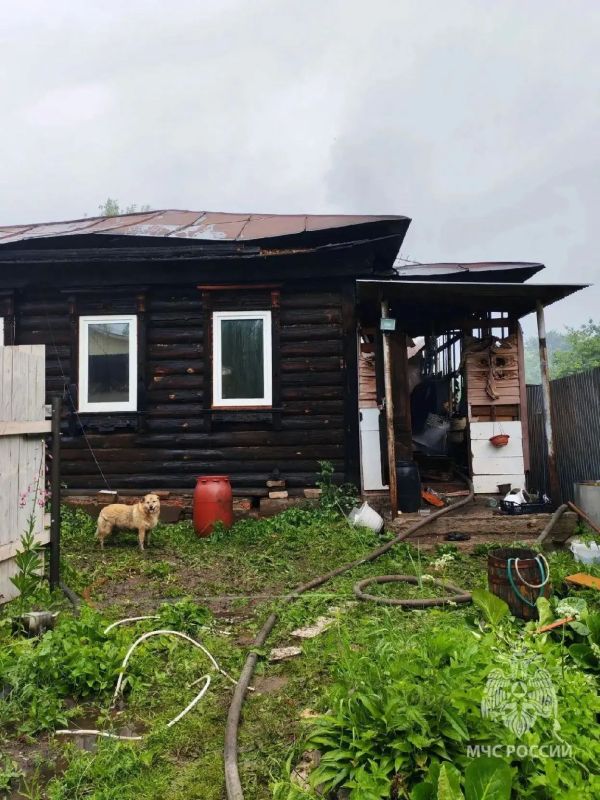 Гроза стала причиной пожара в Нижегородской области Гроза стала причиной пожара в Нижегородской области