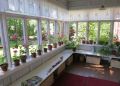 Как правильно выбрать количество комнатных растений для вашего интерьера