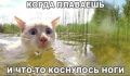 Роспотребнадзор опубликовал свежие результаты проб воды в Нижегородской области