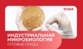 Почему чистота на пищевых производствах важна как никогда