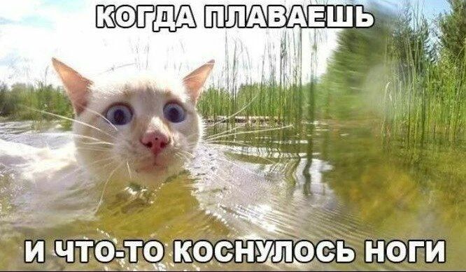 Роспотребнадзор опубликовал свежие результаты проб воды в Нижегородской области