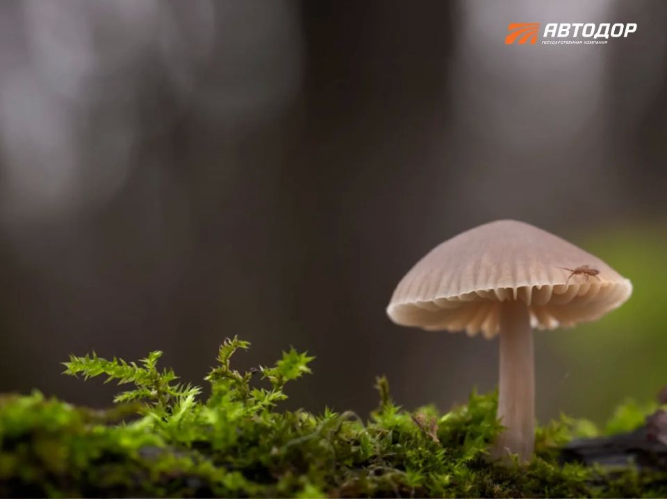 Лето, кажется, все-таки наступило Лето, кажется, все-таки наступило