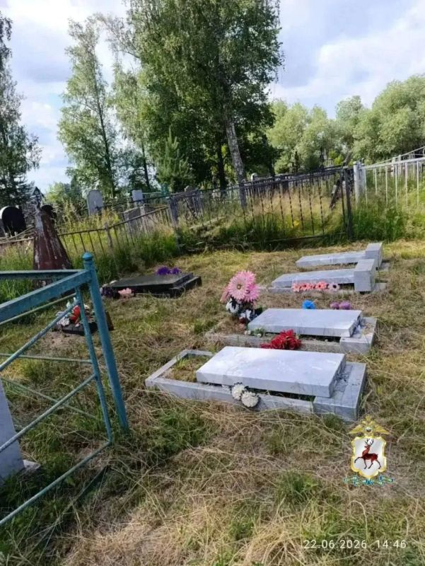 Вандалы повредили более 50 памятников на кладбище в Досчатом Вандалы повредили более 50 памятников на кладбище в Досчатом