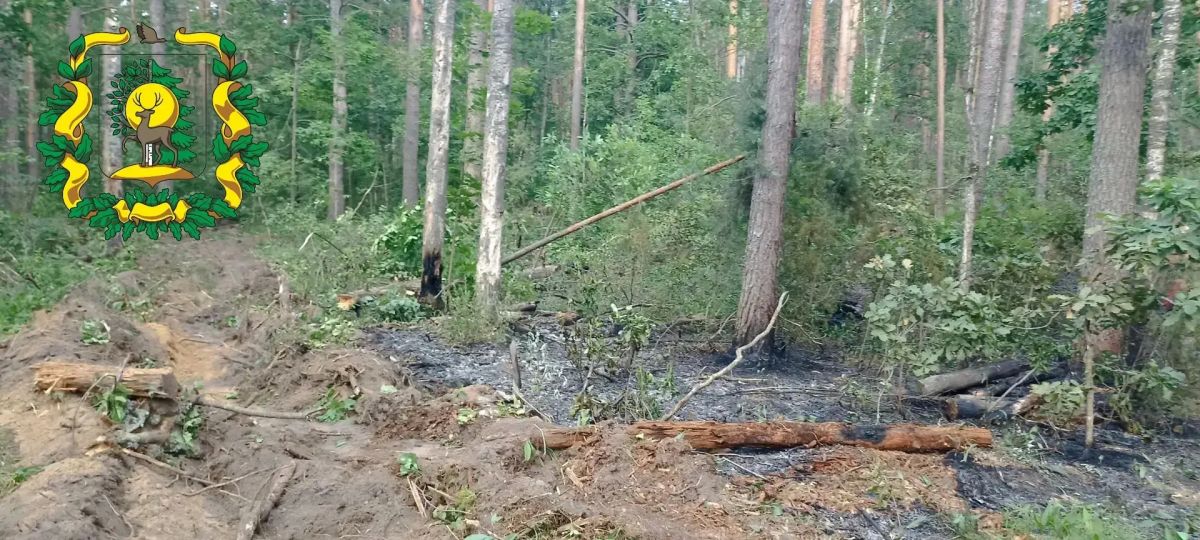 В Борском округе зафиксирован первый лесной пожар в этом году В Борском округе зафиксирован первый лесной пожар в этом году
