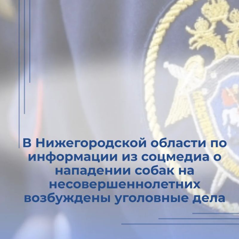 В ходе мониторинга средств массовой информации и социальных медиа сотрудниками регионального следственного управления выявлена информация о возможном нарушении прав жителей города Богородска