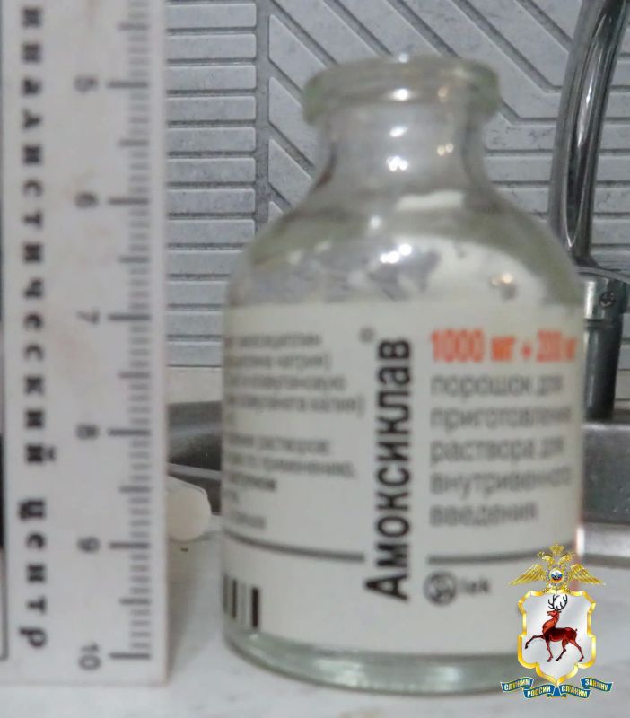 В Арзамасе полицейские задержали супругов, подозреваемых в преступлениях, связанных с незаконным оборотом наркотиков В Арзамасе полицейские задержали супругов, подозреваемых в преступлениях, связанных с незаконным оборотом наркотиков