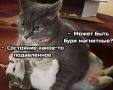 Метеозависимые, держитесь: вечером 2 июля Землю накроет мощная магнитная буря