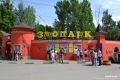 Рыжие кенгуру из зоопарка «Лимпопо» переехали в новый вольер