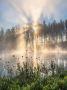 Доброе лесное утро, нижегородцы!