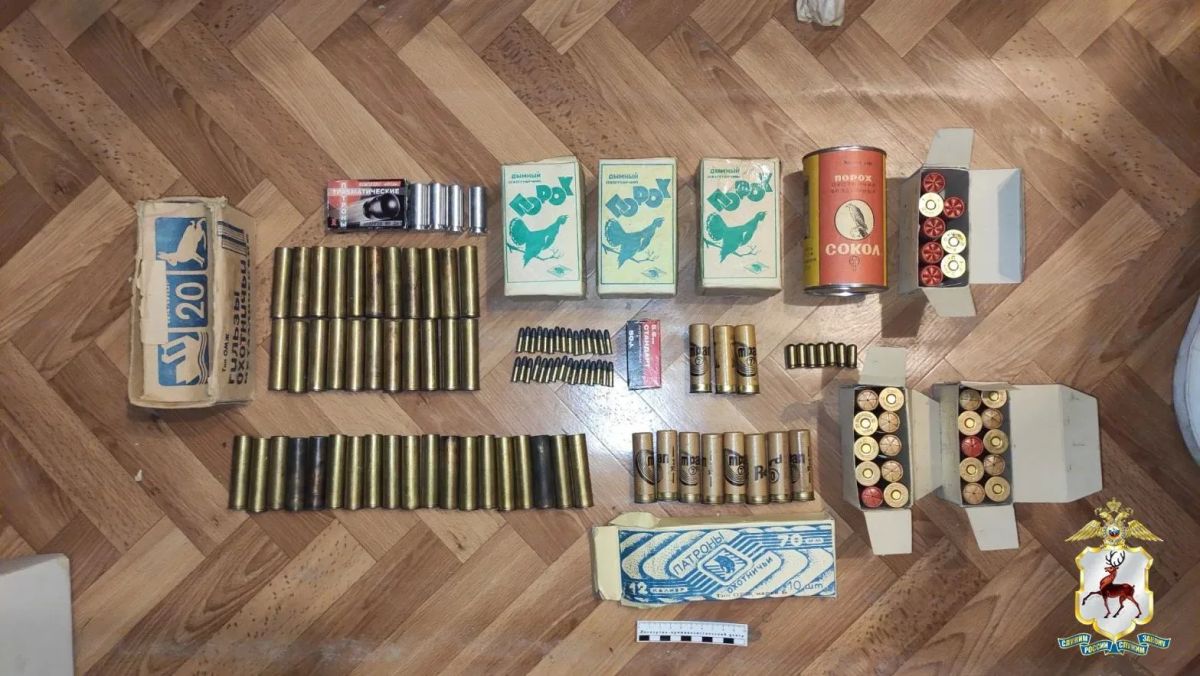 Арсенал незаконного оружия изъяли у доцента института в Нижнем Новгороде