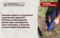 Благодаря принятым сотрудниками следственного управления СК России по Нижегородской области мерам восстановлены права жительницы д. Высоково на качественное водоснабжение
