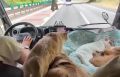Лето... И мы спешим... на работу