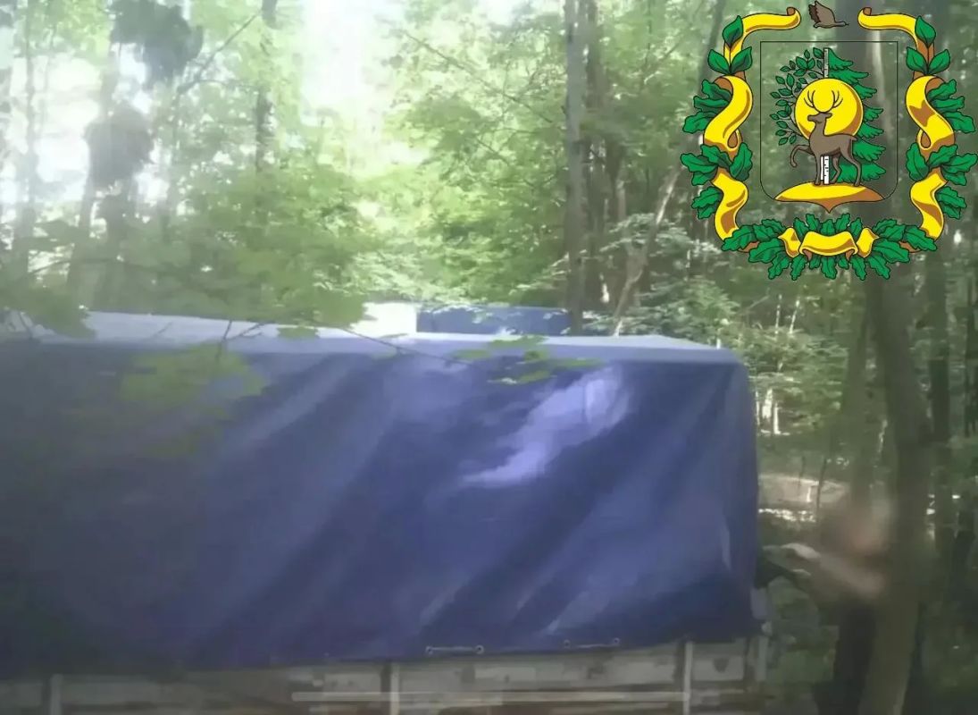 Очередных нарушителей зафиксировала фотоловушка в лесах Кстовского района Очередных нарушителей зафиксировала фотоловушка в лесах Кстовского района