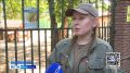 Радостное пополнение в Нижегородском зоопарке: там родились сразу пять жеребят европейской лани