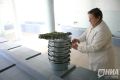 Нижегородский депутат позвал коллег в баню