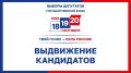О представлении документов кандидатами в депутаты Государственной Думы Федерального Собрания Российской Федерации девятого созыва по одномандатным избирательным округам
