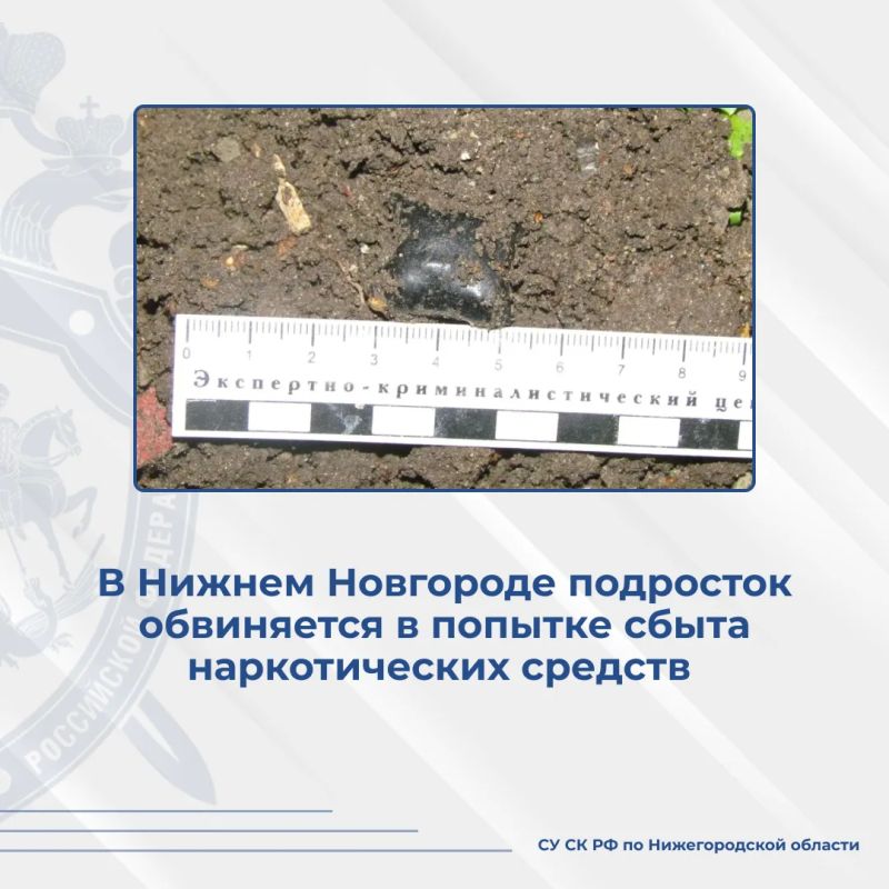 Следователем следственного отдела по Автозаводскому району города Нижнего Новгорода следственного управления СК России по Нижегородской области в отношении подростка возбуждено уголовное дело по признакам преступления...