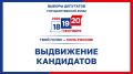 О представлении документов кандидатами в депутаты Государственной Думы Федерального Собрания Российской Федерации девятого созыва по одномандатным избирательным округам