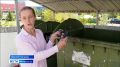 Были полезные устройства - стали электротехнические отходы