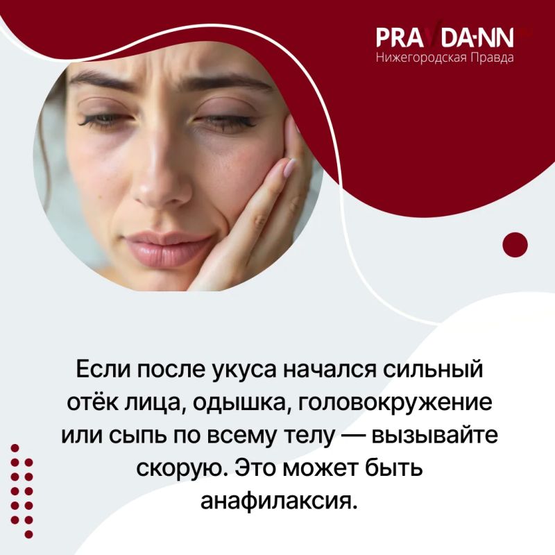 Четыре случая клещевого энцефалита выявили в Нижегородской области c начала сезона, один из пострадавших — 12-летний ребёнок Четыре случая клещевого энцефалита выявили в Нижегородской области c начала сезона, один из пострадавших — 12-летний ребёнок