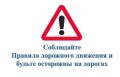 Сотрудниками полиции в Нижнем Новгороде задержан водитель, грубо нарушивший ПДД