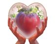 Сержант Пеппер: сердечный томат с уникальным вкусом и урожайностью