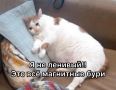 Метеозависимые, держитесь: в ближайшие дни Землю накроет мощная магнитная буря