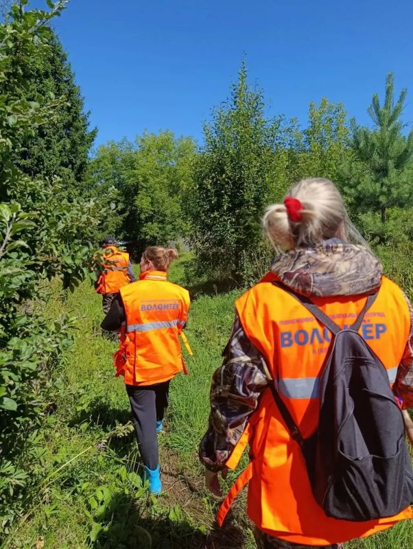 14-летнего подростка, которого неделю искали в Краснобаковском районе, наконец-то нашли — он жив!