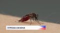 Нашествие комаров прогнозируется в ПФО уже этим летом