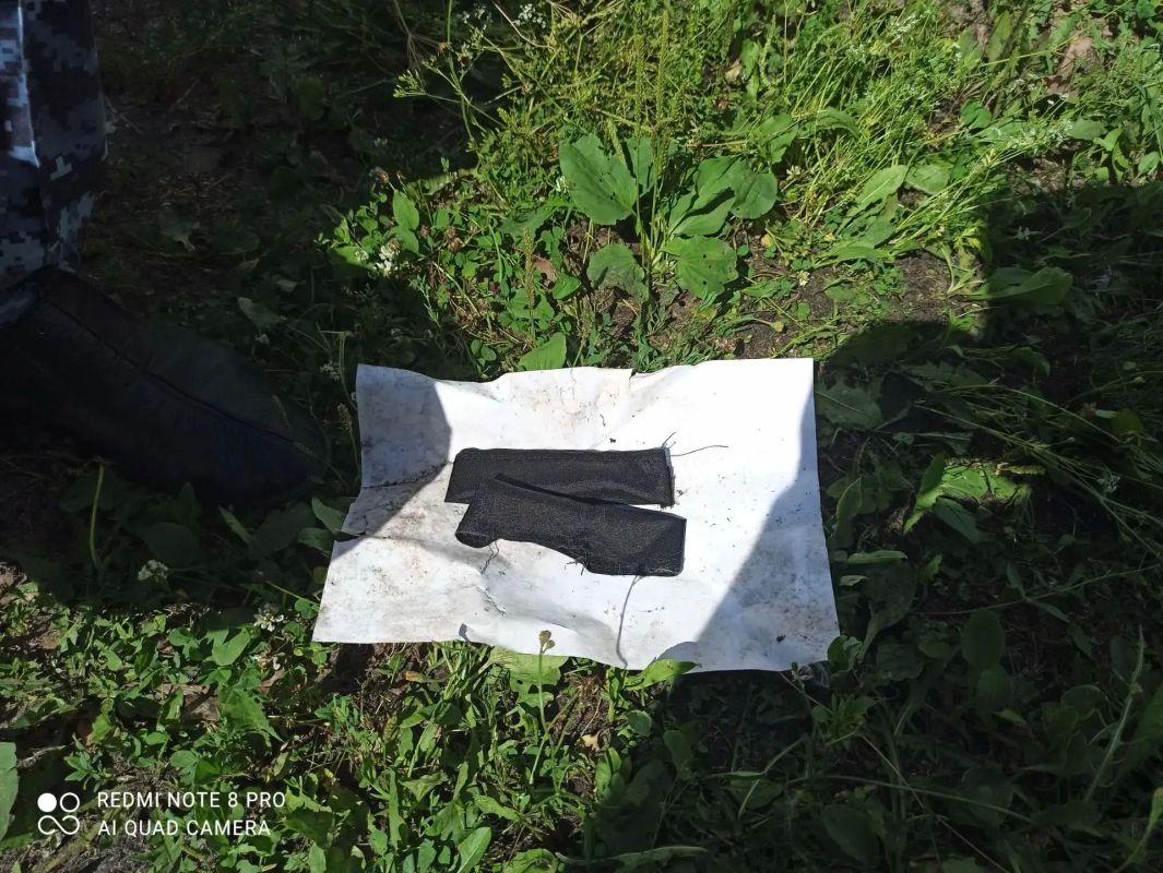 Кота-«наркокурьера» поймали около нижегородской колонии №17 Кота-«наркокурьера» поймали около нижегородской колонии №17
