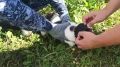 Усатого "Пабло Эскобара" поймали в Нижегородской области