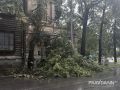 Вот такие последствия непогоды