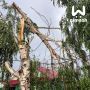 Часть Бора осталась без электричества после урагана