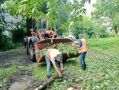 Последствия урагана в Нижнем Новгороде почти устранены