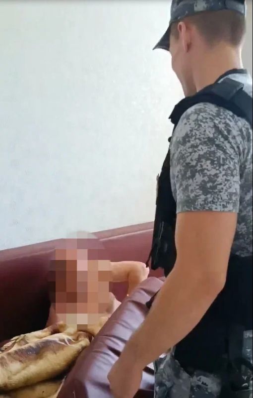 Спрятался в диване, но сдала собственная собака