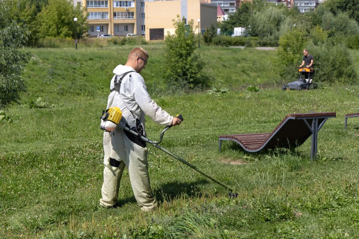 Около 200 гектаров Кстовского района очищены от борщевика Сосновского