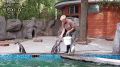 � ������� ������ ����� ������� ������ ���������� ���������� �� �������������� ��������