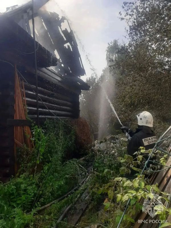 Женщина погибла на пожаре в Ветлужском округе