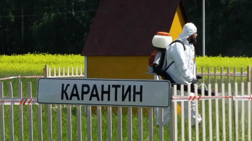 «Земля и люди» с Николаем Талановым на «ННТВ» — программа для жителей села и его окрестностей «Земля и люди» с Николаем Талановым на «ННТВ» — программа для жителей села и его окрестностей
