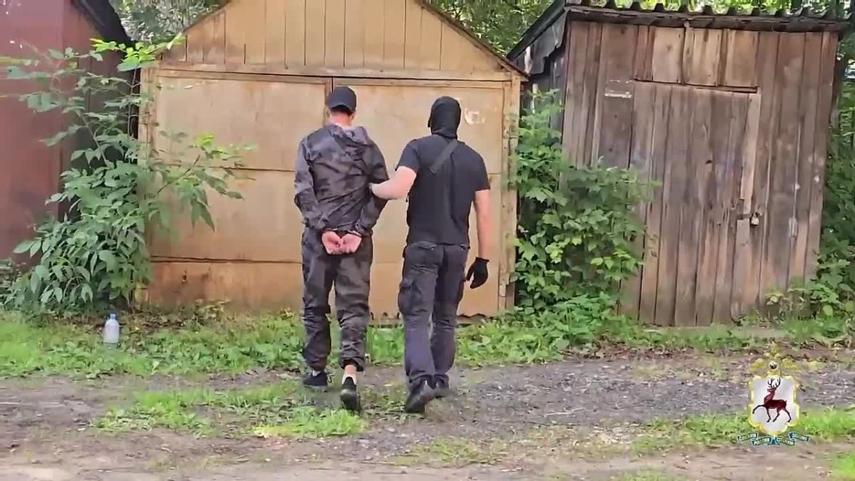 Троих ранее судимых квартирных воров задержали в Нижнем Новгороде