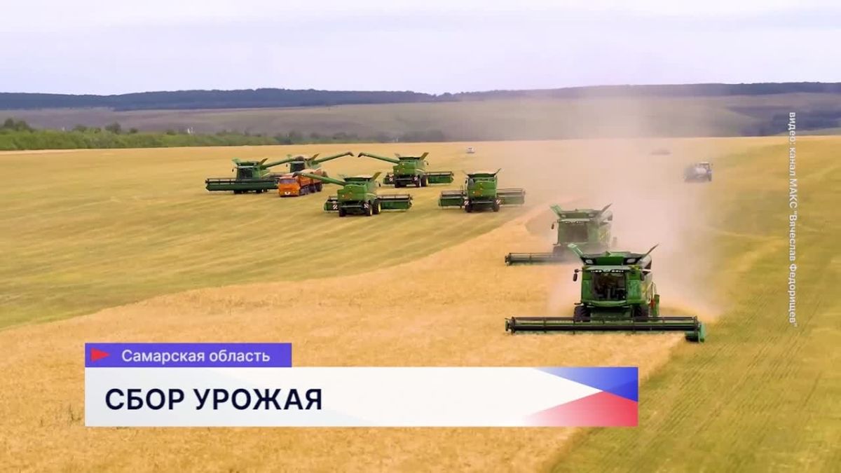 Аграрии Самарской области преодолели знаковый рубеж уборочной кампании — более одного миллиона тонн зерна