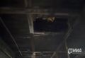 Уцелевшую после крупного пожара конюшню в Стригине планируют снести изза угрозы обрушения крыши