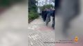 27 ����������� ��������� � ��������� 250 ����� ������ � ������� "������������������������ �����������" ��������� �� ������