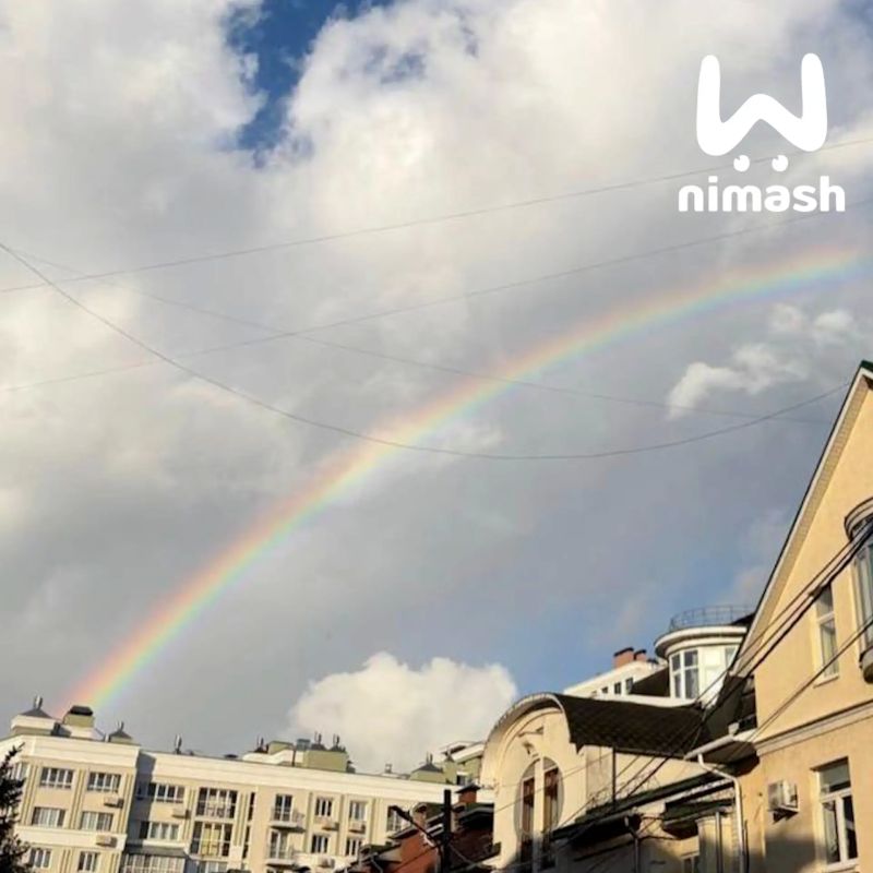 Единорог спрятался во дворах Нижнего