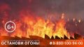 В 9 из 10 случаев причиной лесного пожара является антропогенный фактор — халатность, неосторожность и безответственное поведение человека в лесу