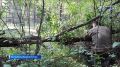 ������ ������, ������� �������� ���� ������ � ������������ �� ����������� ����, ����� �������� �� ��������� �����