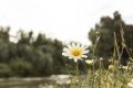 ������� � ������ ��������� ����� ������� � ������������
